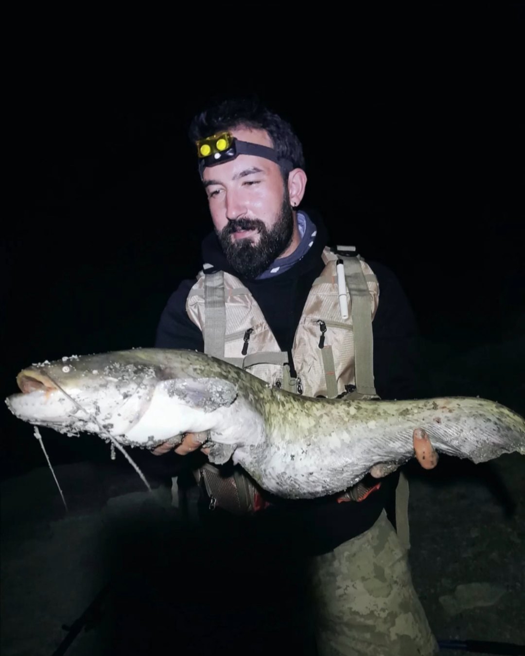 Gönderi fotoğrafı 1