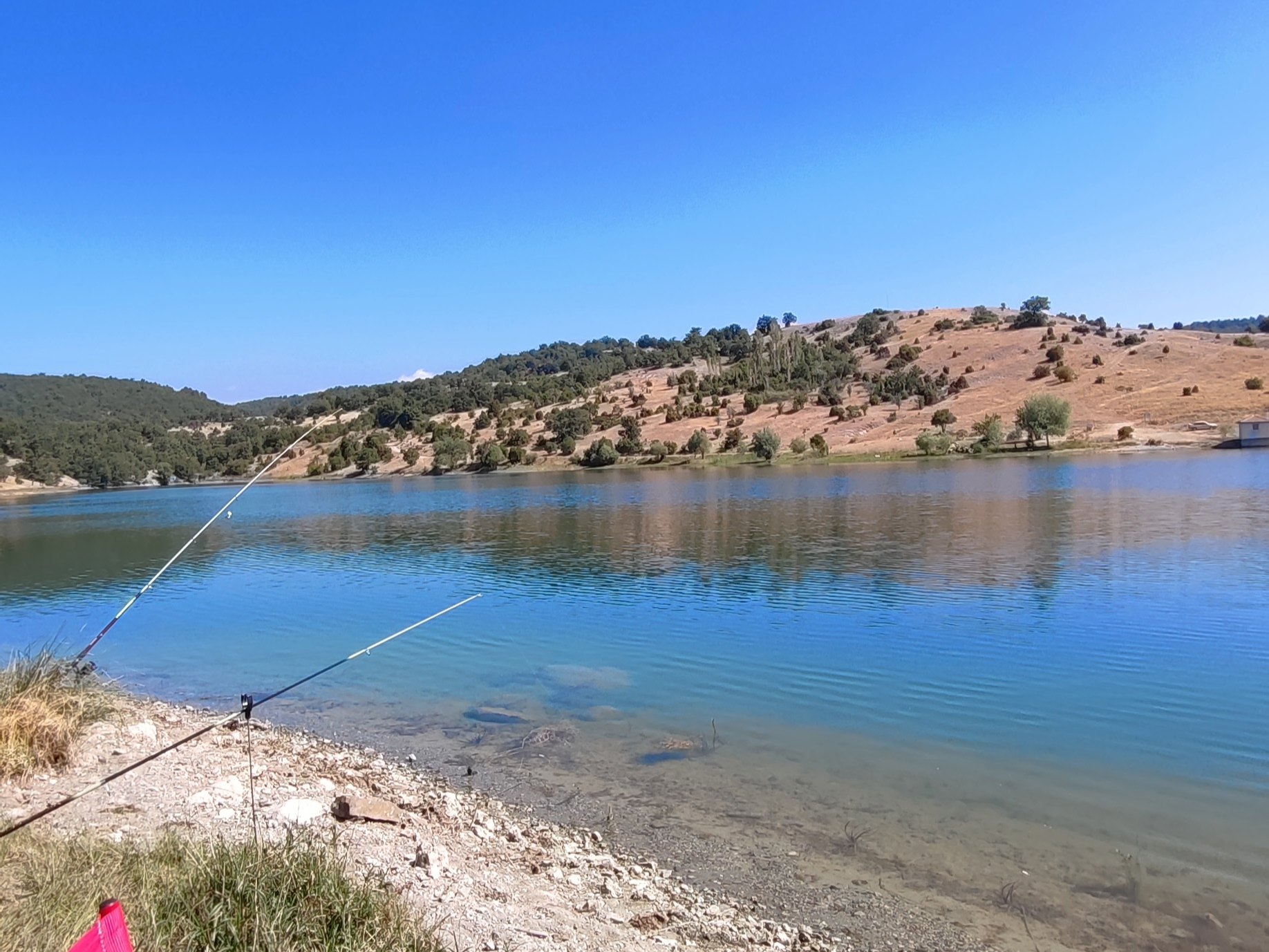 Gönderi fotoğrafı 1
