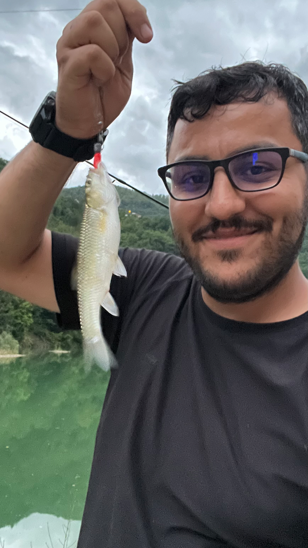 Tatlı Su Kefali fotoğrafı 3
