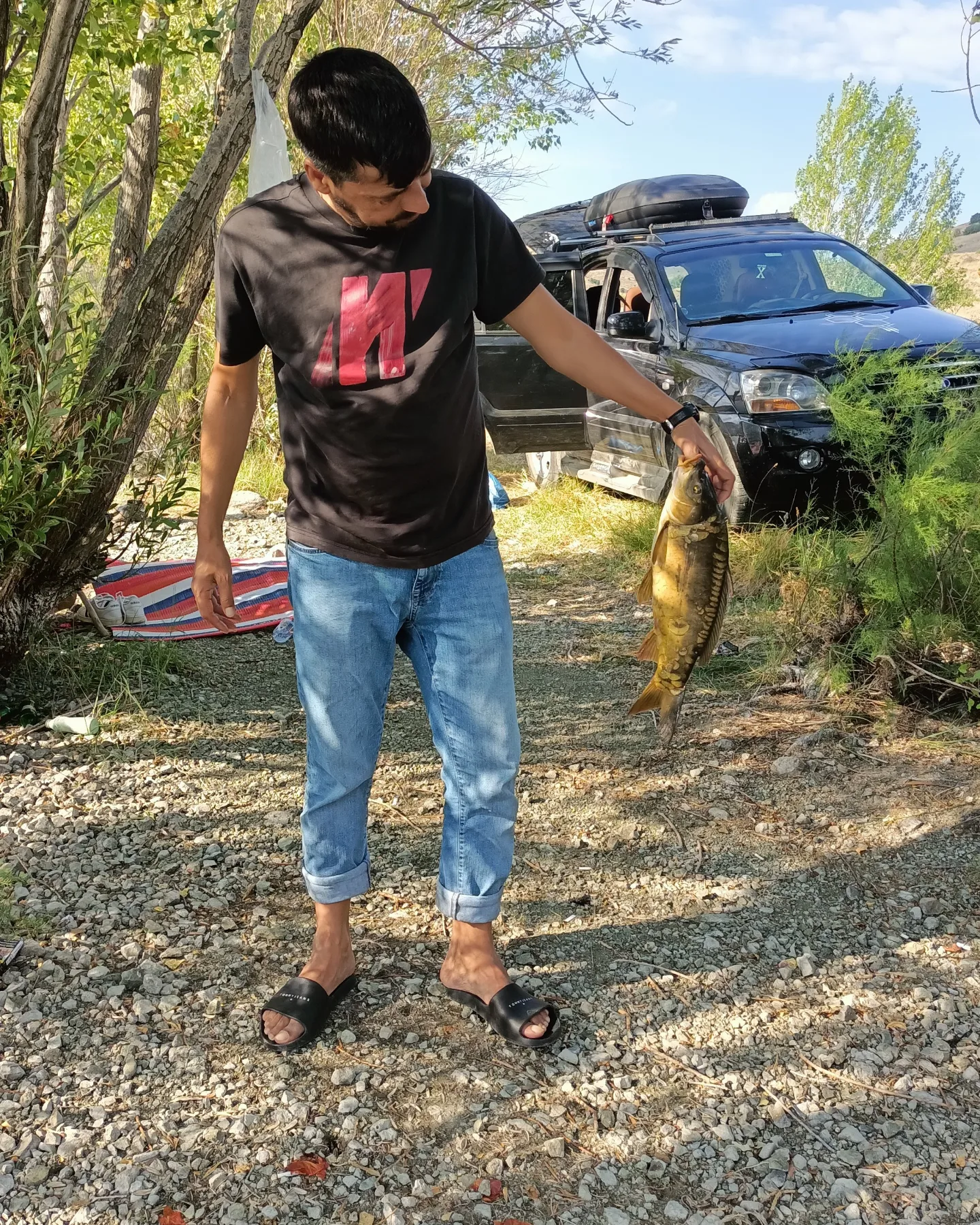 Sazan fotoğrafı 1