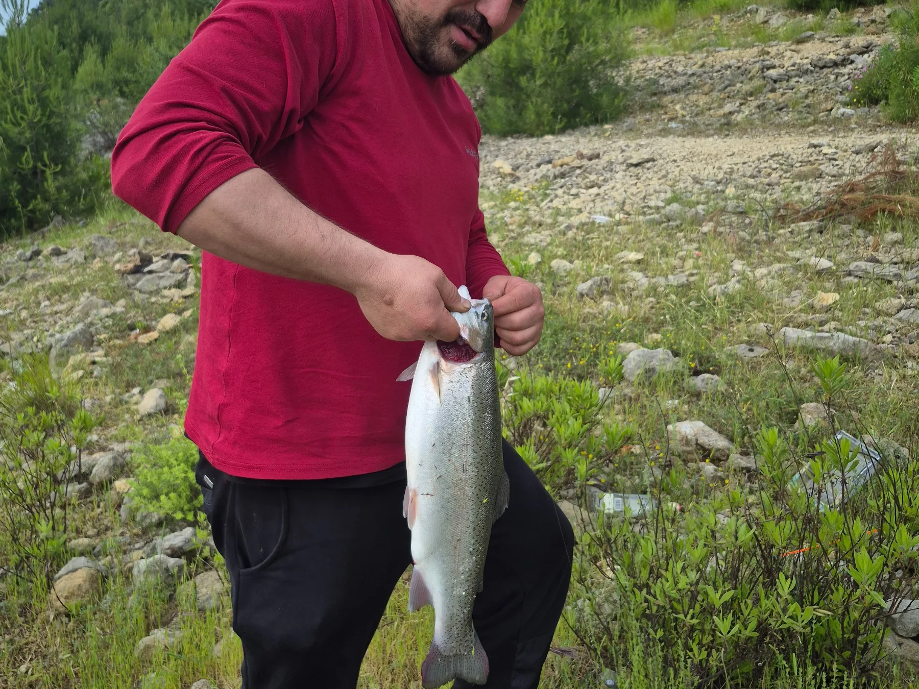Alabalık fotoğrafı 1