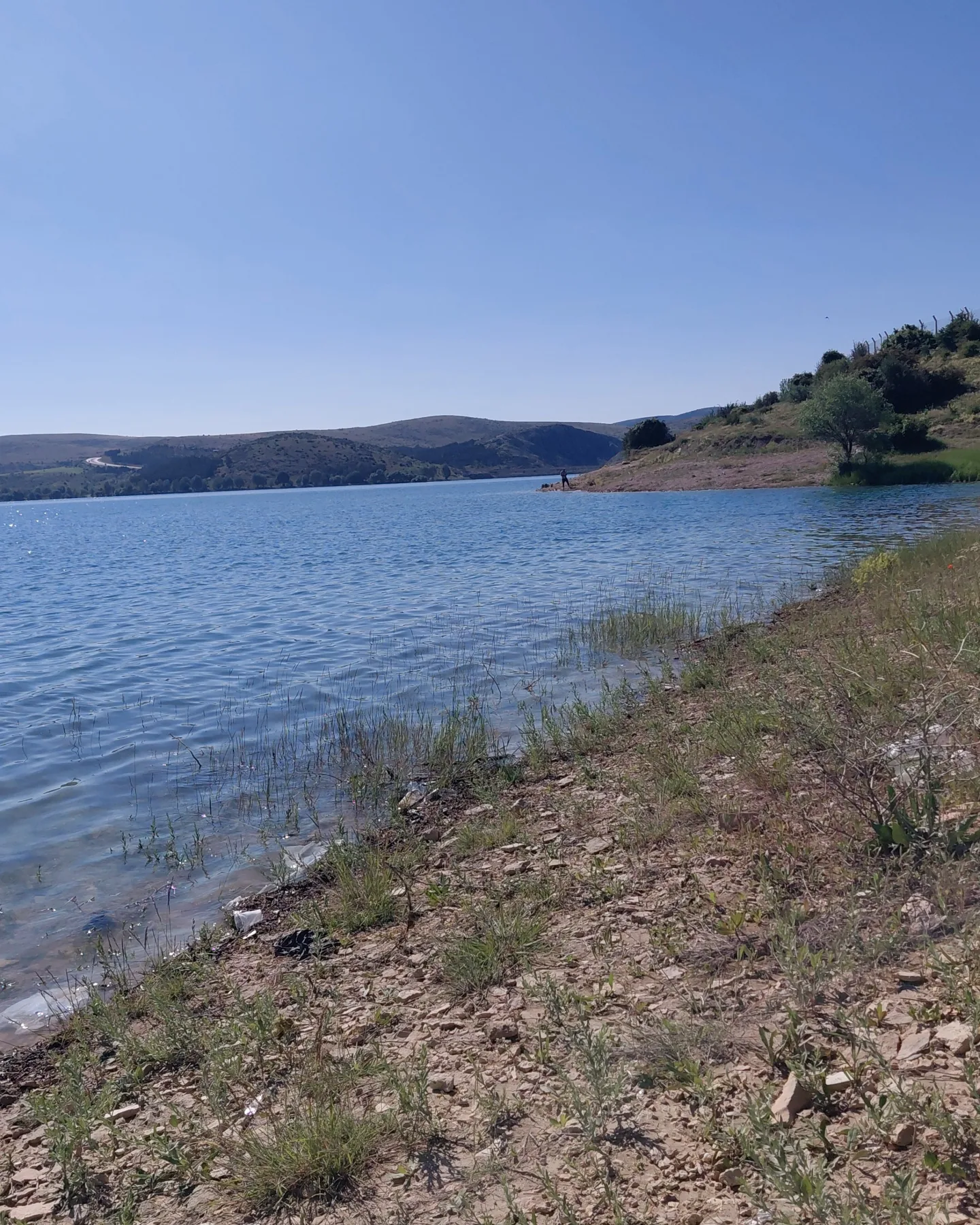 Gönderi fotoğrafı 1
